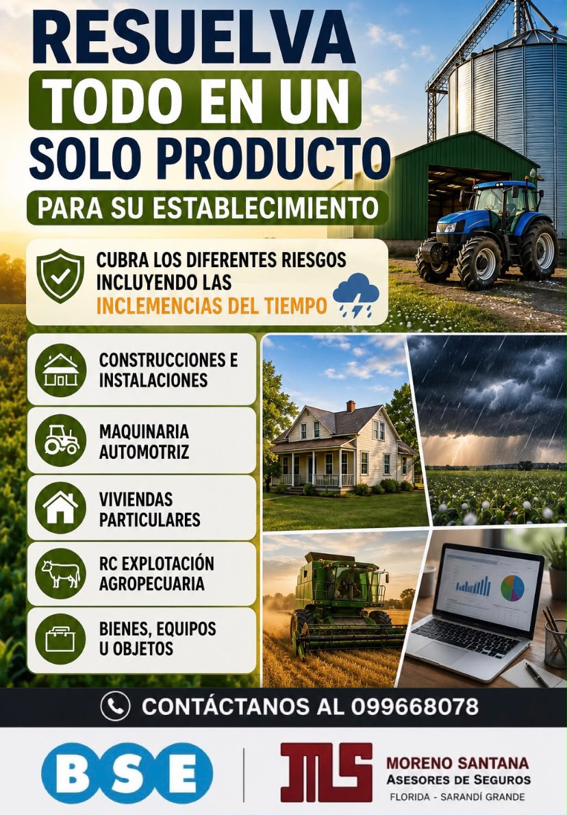 TODO EN UN SOLO PRODUCTO